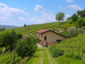 Cascina tra i vigneti a Nizza Monferrato